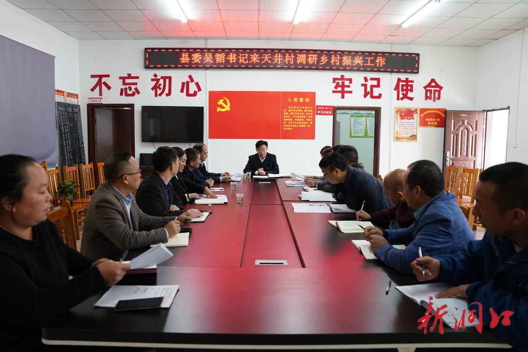 吴韬调研雪峰街道乡村振兴工作强调：以更严作风 更实责任 做好乡村振兴工作(图3)