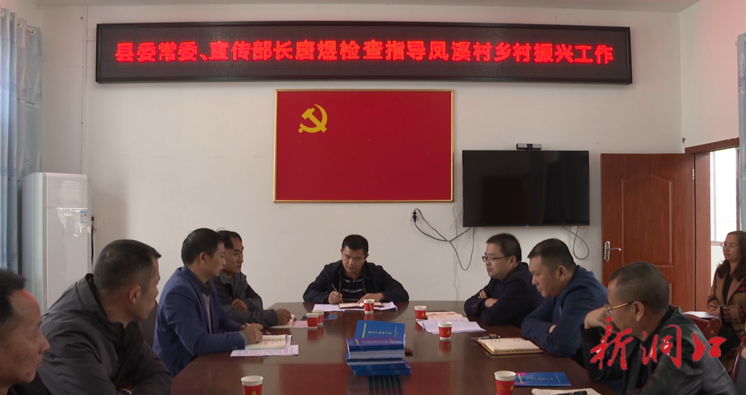 唐煜到毓兰镇凤溪村调研乡村振兴工作(图1)