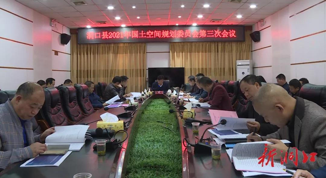 洞口县召开2021年国土空间规划委员会第三次会议(图1)