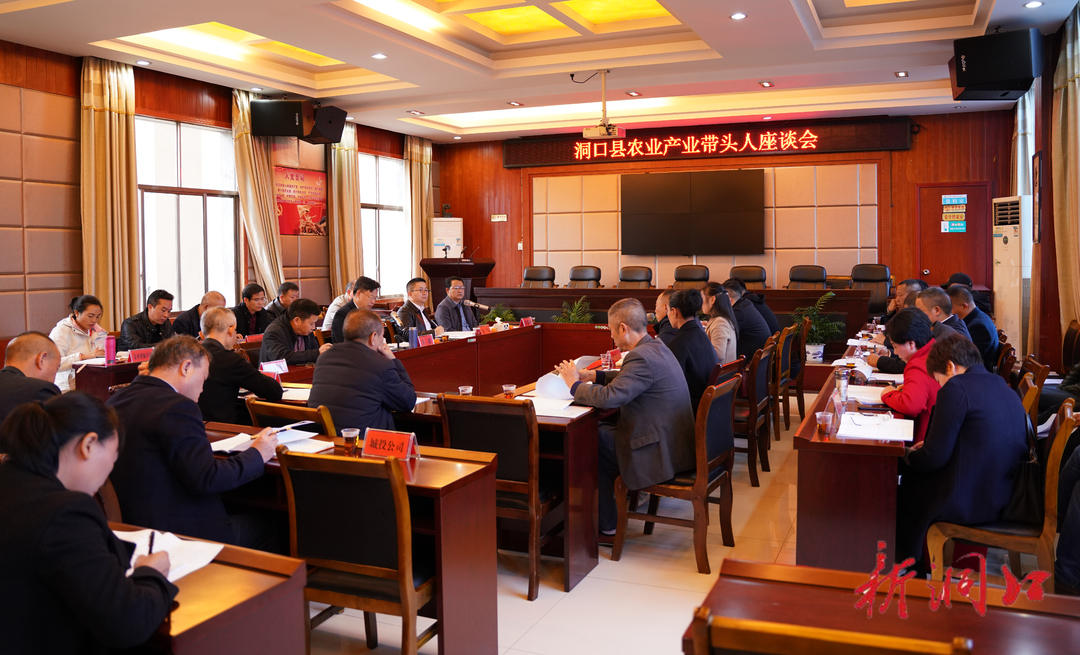 洞口县召开农业产业带头人座谈会(图1)