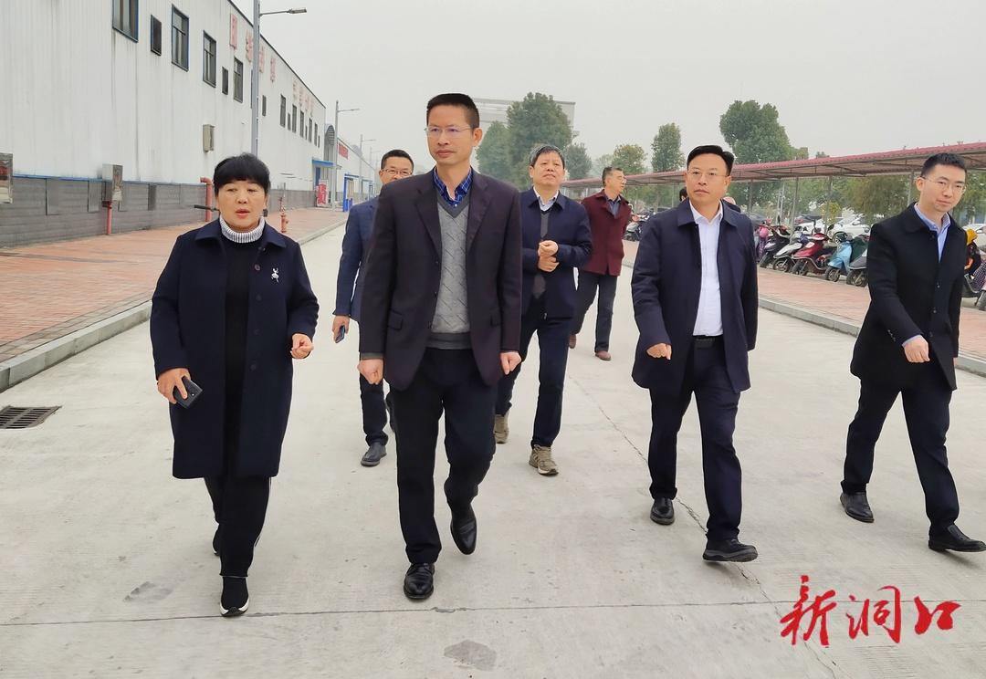 马艳青来洞口县调研为民办实事工作(图1)