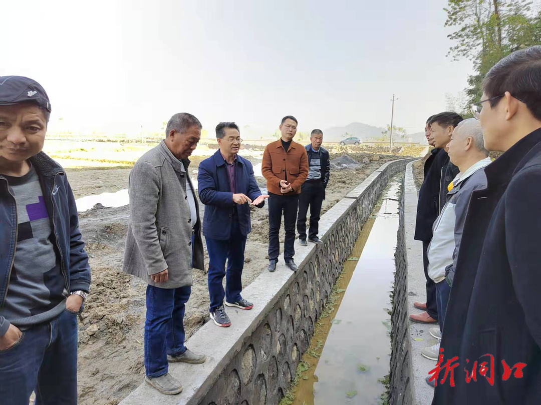 张纲学到花园镇督导高标准农田建设安全生产和森林防火工作(图2)