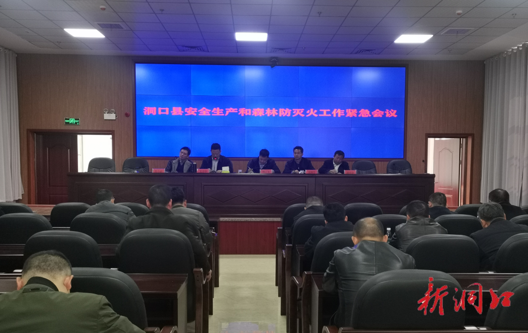 洞口县组织收听收看全省安全生产和森林防灭火工作紧急视频会议(图2)