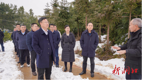 吴韬、贺永亮等县领导调研洞口县国家现代农业产业园建设工作(图2)