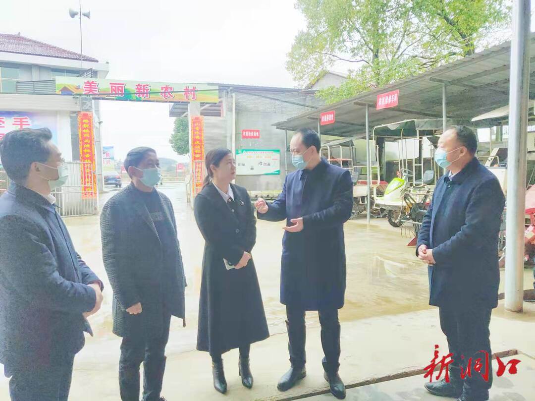 杨卫平来洞口县督导粮食生产工作(图1)