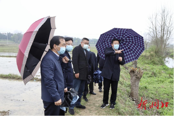 华学健在洞口调研时强调：扎实守牢安全发展底线 全力冲刺一季度“开门红(图2)