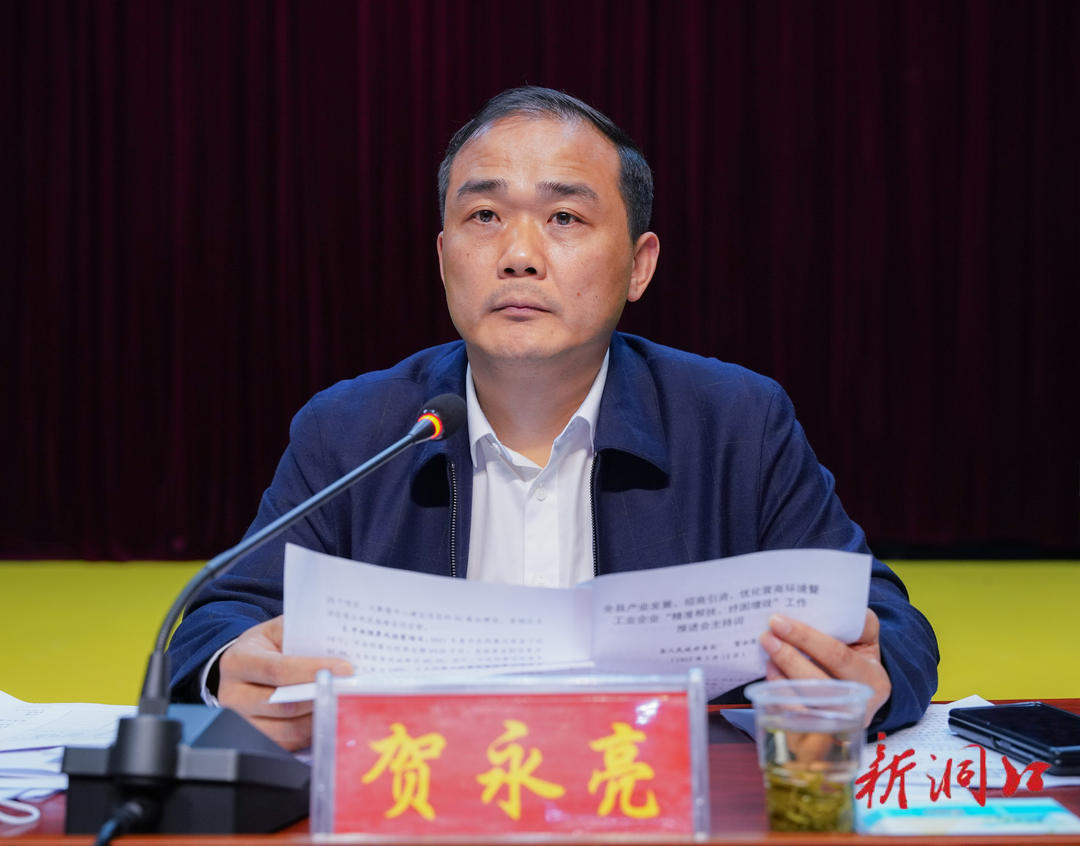 洞口县召开产业发展、招商引资、优化营商环境暨工业企业(图3)