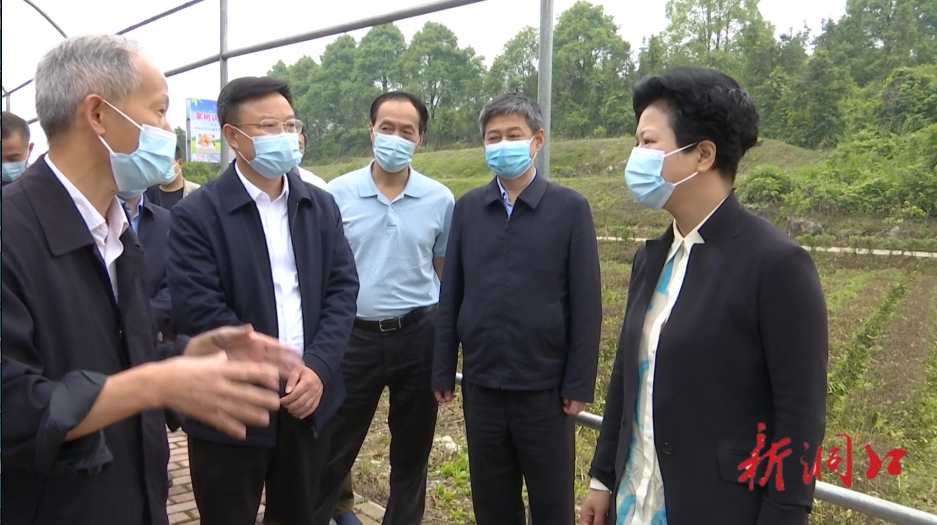 省委常委、副省长张迎春来洞口调研(图2)