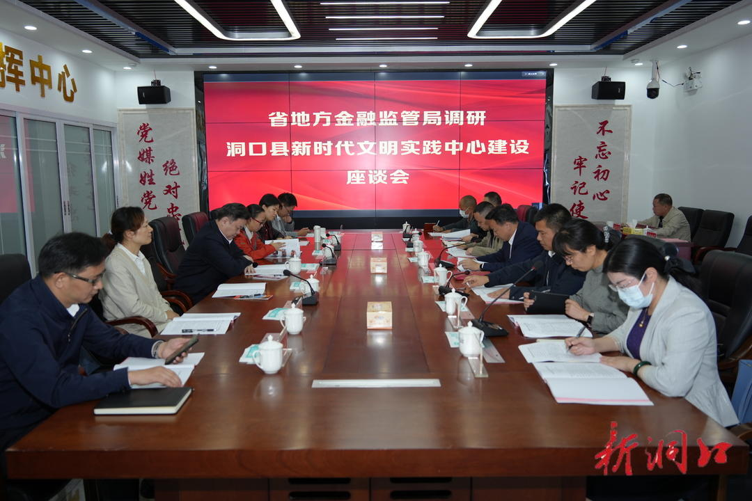 林德勇来洞口县调研乡村振兴和新时代文明实践中心建设工作(图5)