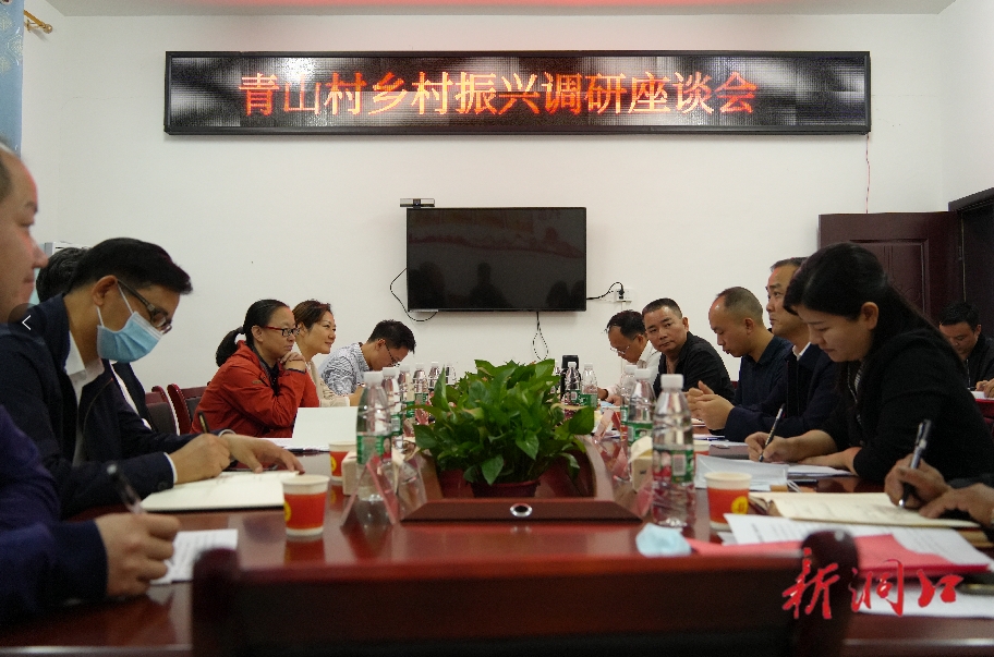 林德勇来洞口县调研乡村振兴和新时代文明实践中心建设工作(图2)