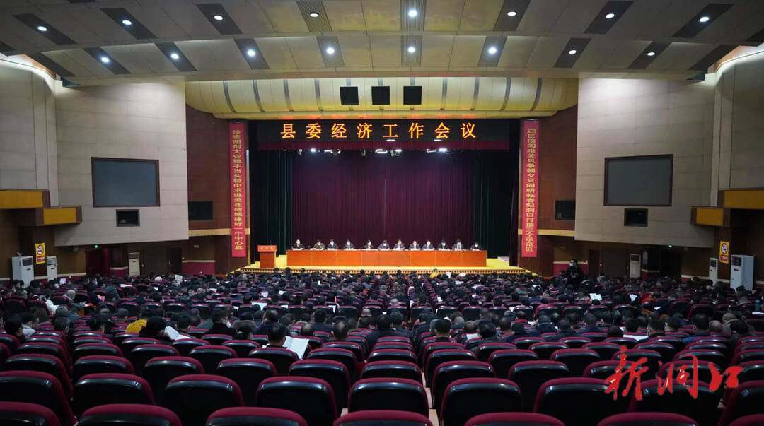 洞口县委经济工作会议召开(图1)