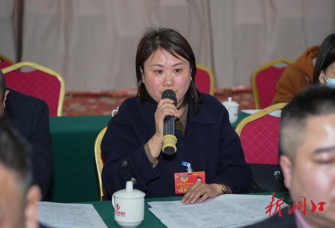 吴韬参加政协洞口县第十届委员会第三次会议第一联组讨论(图3)