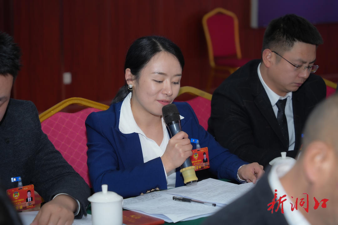 吴韬参加政协洞口县第十届委员会第三次会议第一联组讨论(图4)