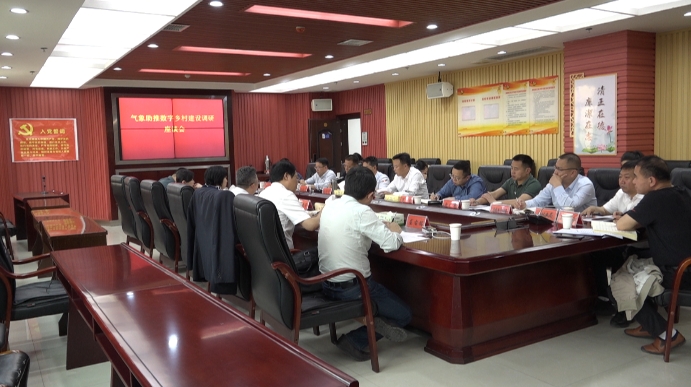 洞口县召开气象助推数字乡村建设调研座谈会(图2)