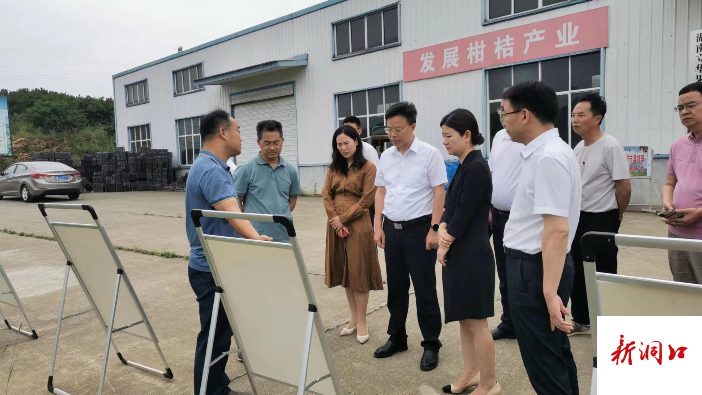 吴韬调研雪峰蜜桔产业链发展(图2)