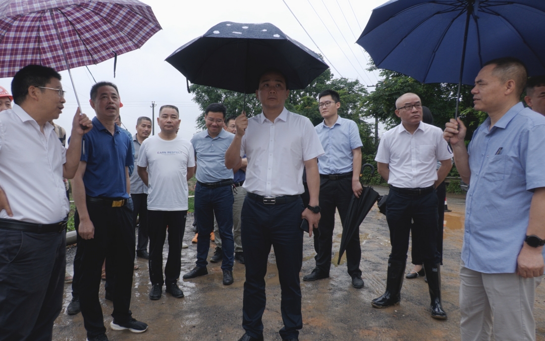 贺永亮督导检查洞口县重点项目建设工作(图4)