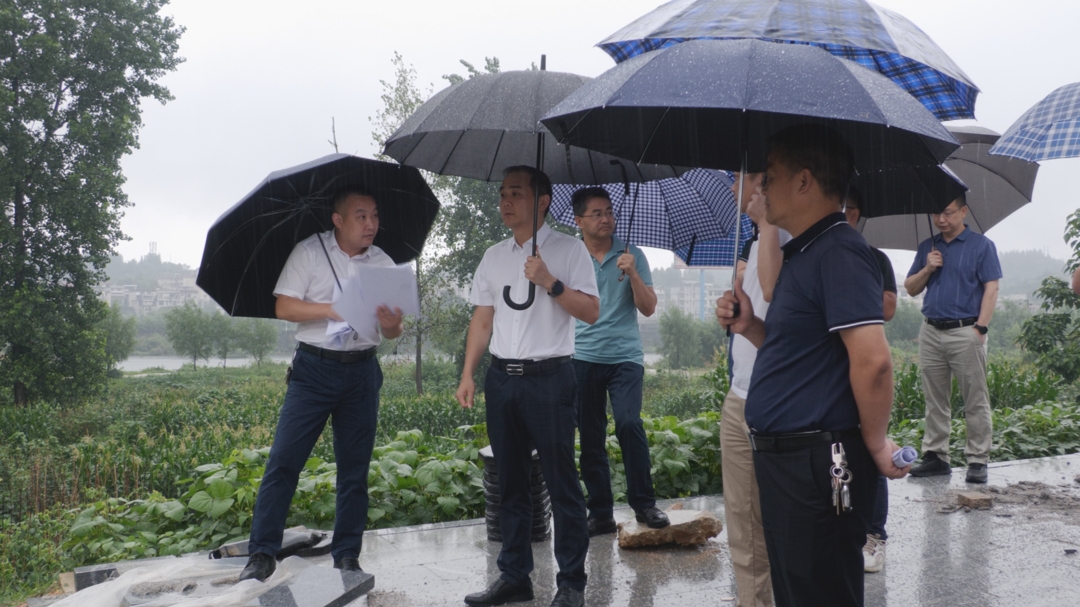 贺永亮督导检查洞口县重点项目建设工作(图2)