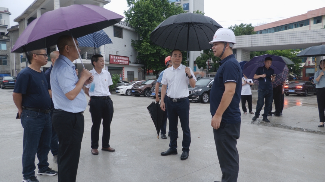 贺永亮督导检查洞口县重点项目建设工作(图3)