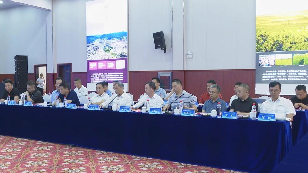 洞口县与深港民营企业家考察团举行考察项目推介洽谈会(图4)