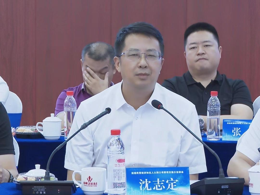洞口县与深港民营企业家考察团举行考察项目推介洽谈会(图2)