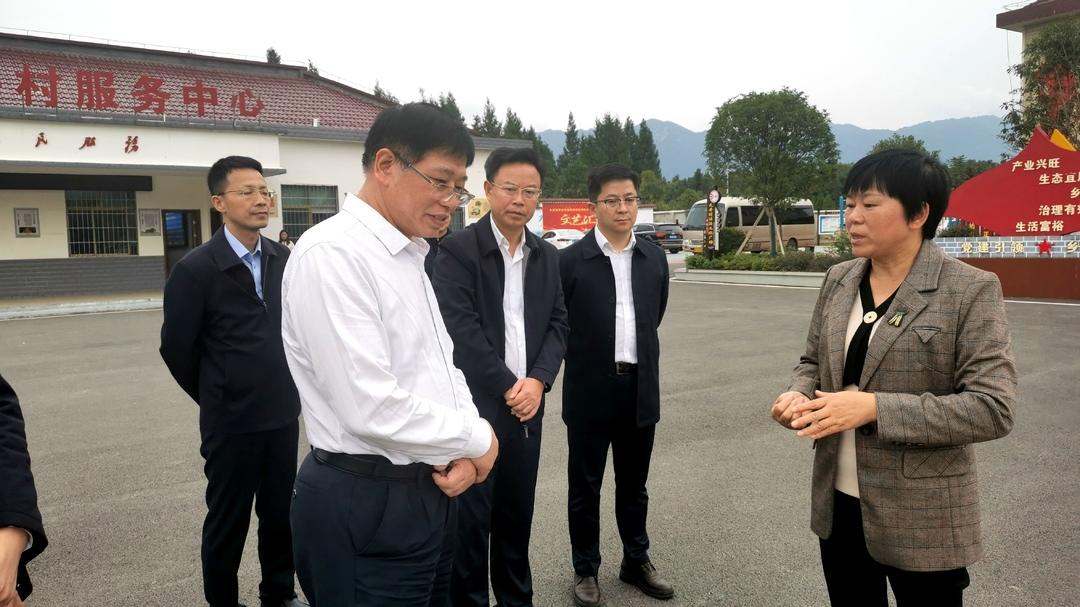 省委政研室来洞口县调研县域经济社会发展情况(图2)