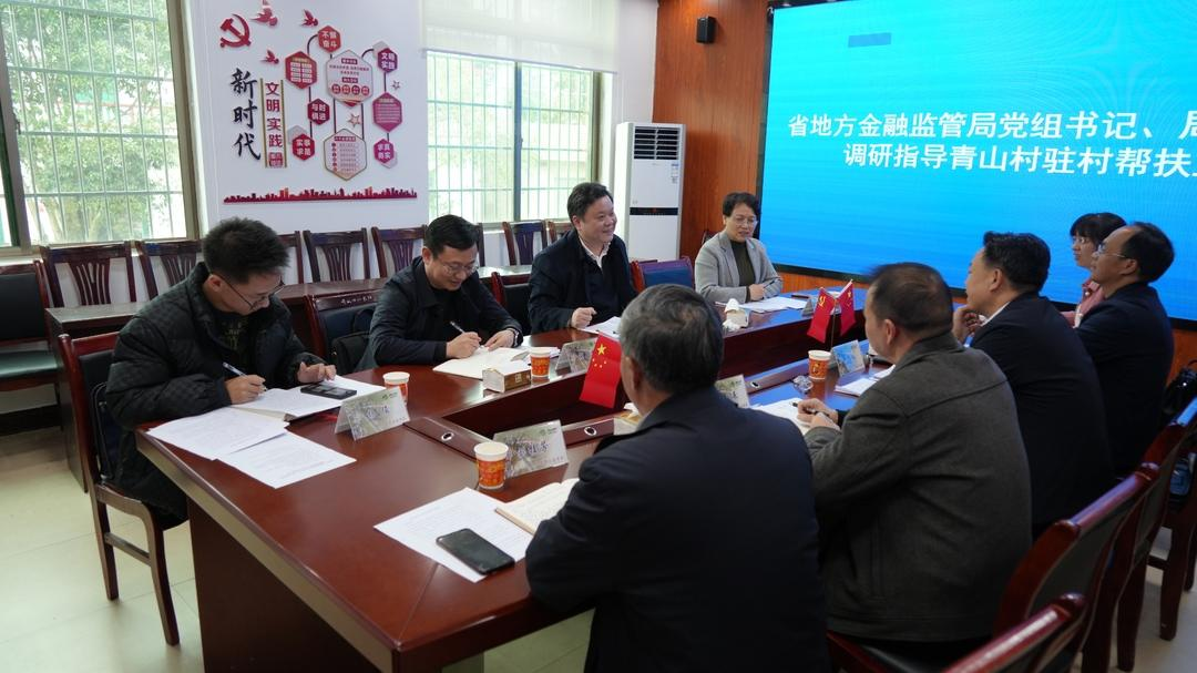 林德勇来洞口县石柱镇青山村调研指导乡村振兴工作(图3)