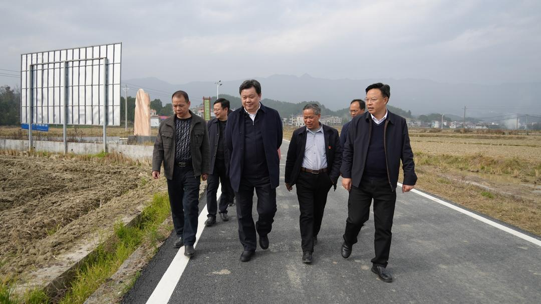 林德勇来洞口县石柱镇青山村调研指导乡村振兴工作(图2)
