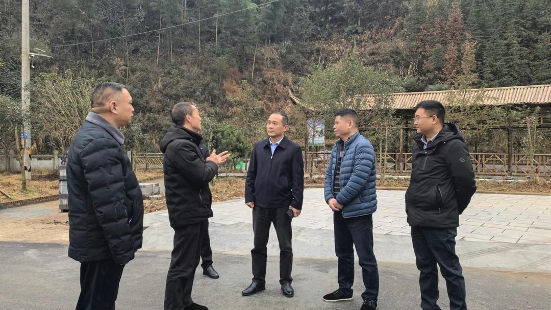 贺永亮调研乡镇重点项目建设和产业发展情况(图2)