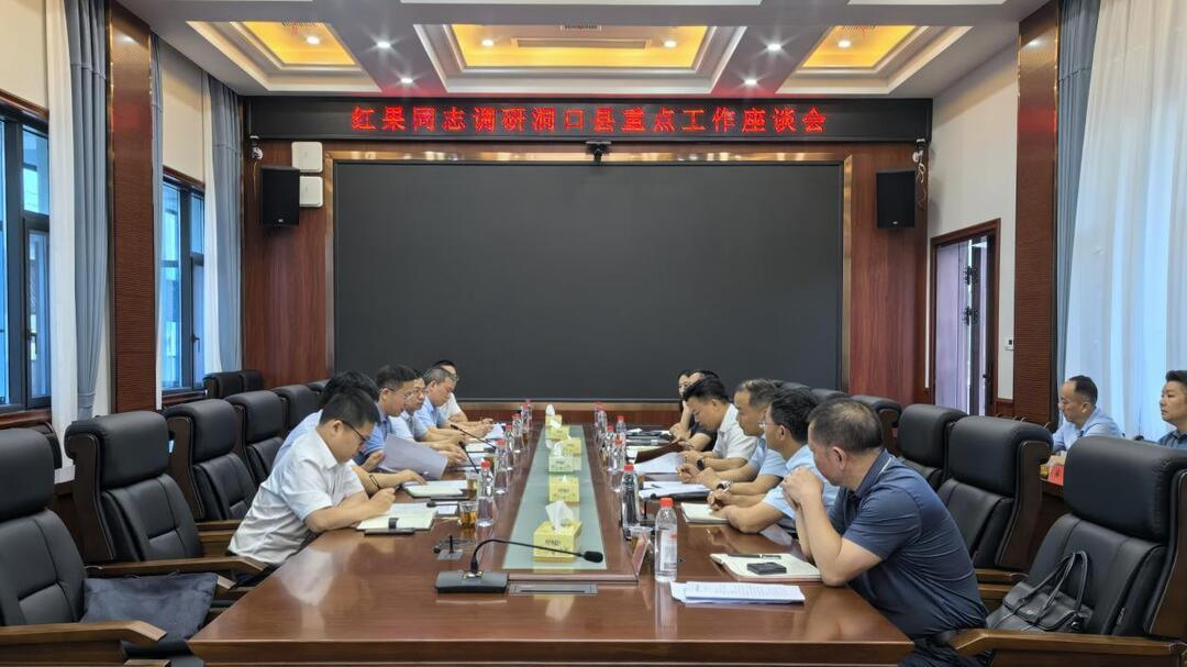 推动各项工作快落地真落实早见效 龚红果到洞口县调研督导当前重点工作(图3)