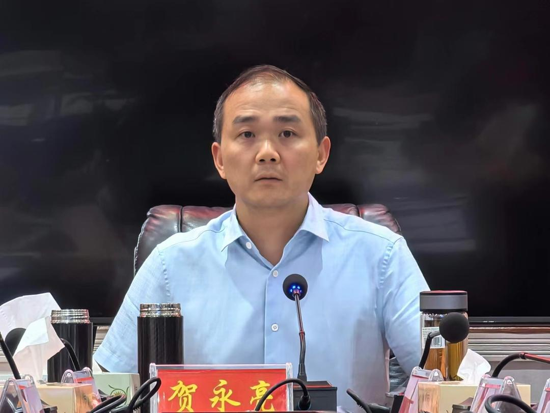 洞口县召开经济运行分析调度会(图2)