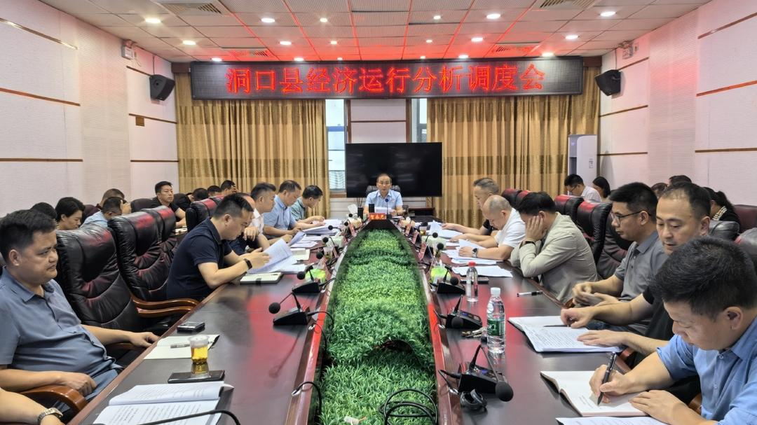 洞口县召开经济运行分析调度会(图1)