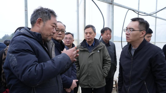 省农业农村厅来洞口县开展春季农业生产技术指导工作(图1)