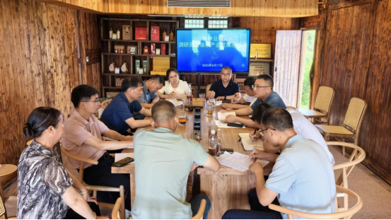 省林业局到洞口调研油茶产业发展情况(图2)