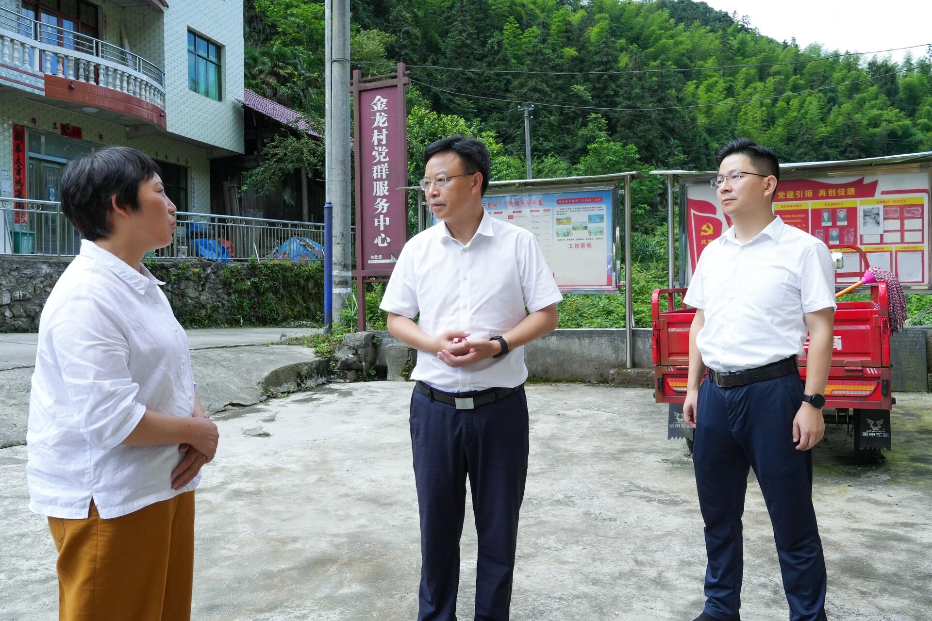 吴韬到乡镇调研基层党建和乡村振兴等工作(图1)